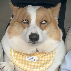 我的相册